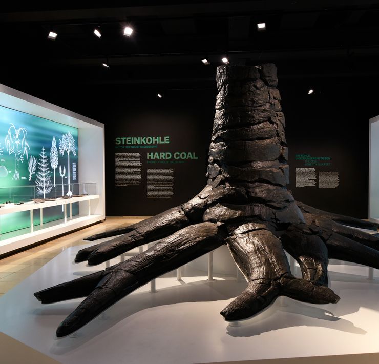 Bild des Eingangs in die Dauerausstellung des Deutschen Bergbau-Museums Bochum mit einem versteinerten Baum